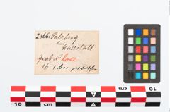 Etikett zu Bronzetutulusscheibenfibelscheibe (NHMW-PRAE-023661)